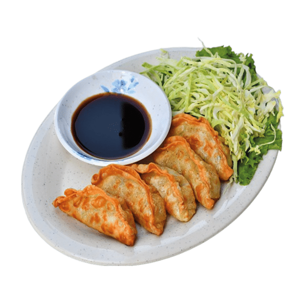 Gyoza frit poulet