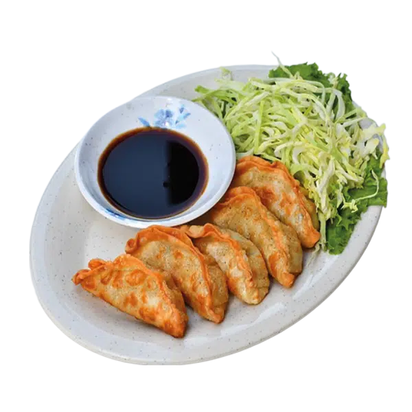 Gyoza frit poulet