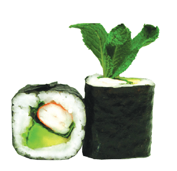 Maki Roll avocat crevette menthe