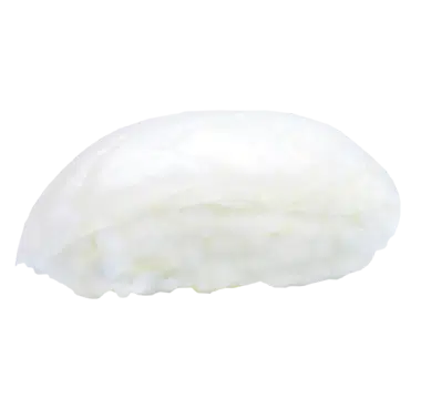Sushi daurade