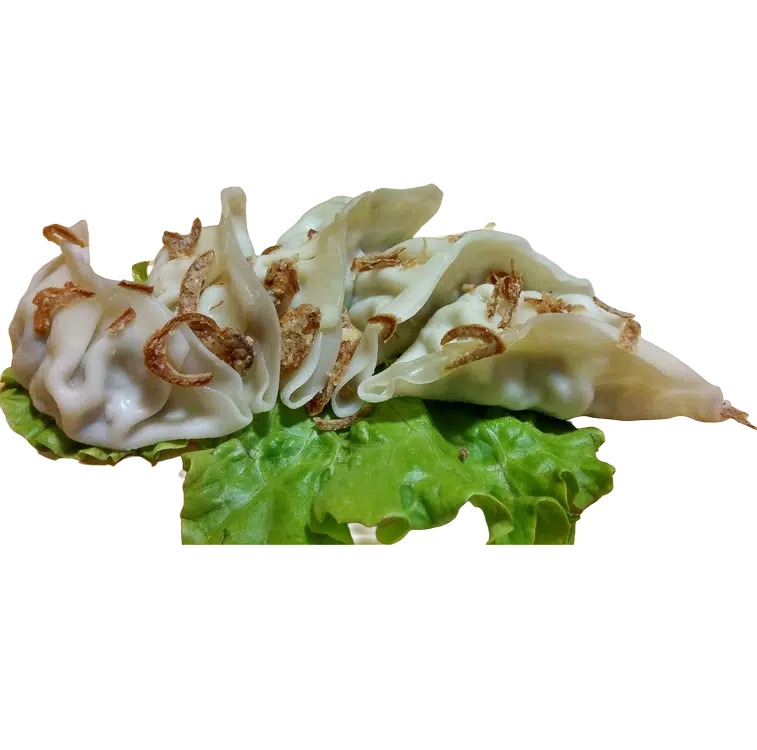 Gyoza vapeur poulet